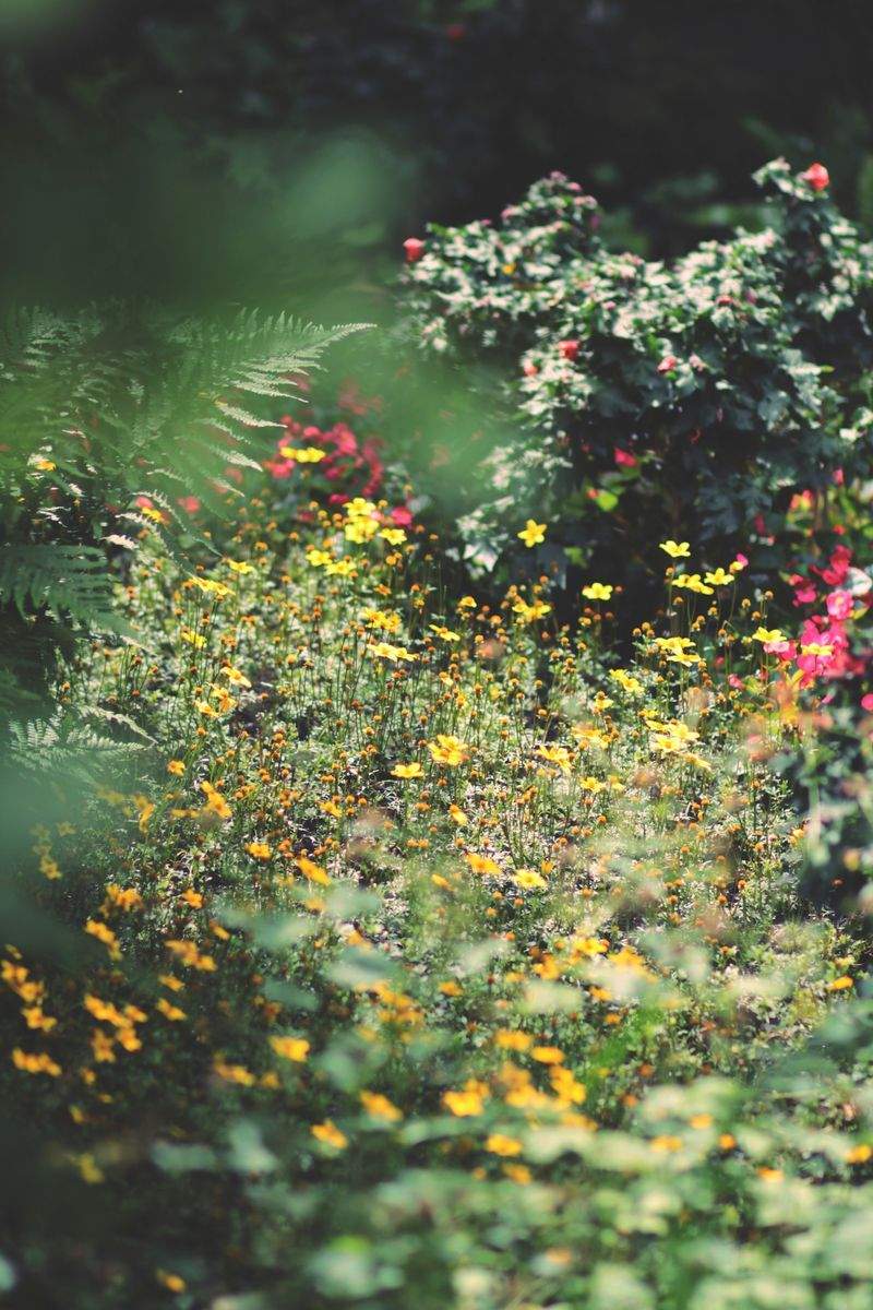 和風庭園を長く楽しむための植栽バランス