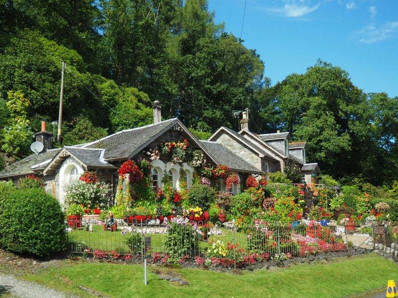 日常使いをより快適にするための住宅庭園再編
